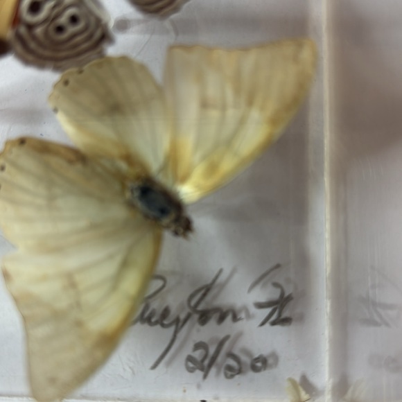 Vintage 1976 Signed Lucite Box Art / Real Butterflies / MCM Wall Decor - Picture 2 of 7